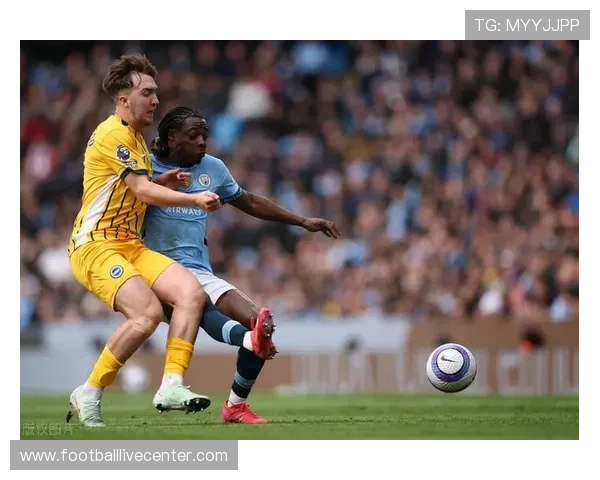 围绕布莱顿足球俱乐部崛起之路与英超竞争格局深度解析